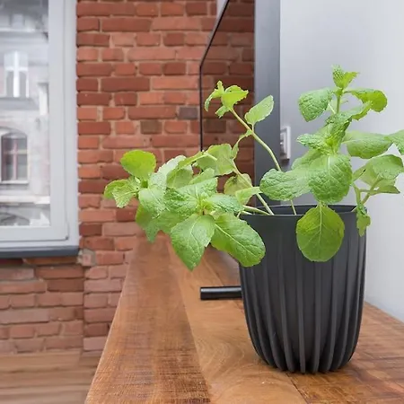 아파트 Zwyciestwa *